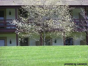 Hotel La Azzurra San Remo